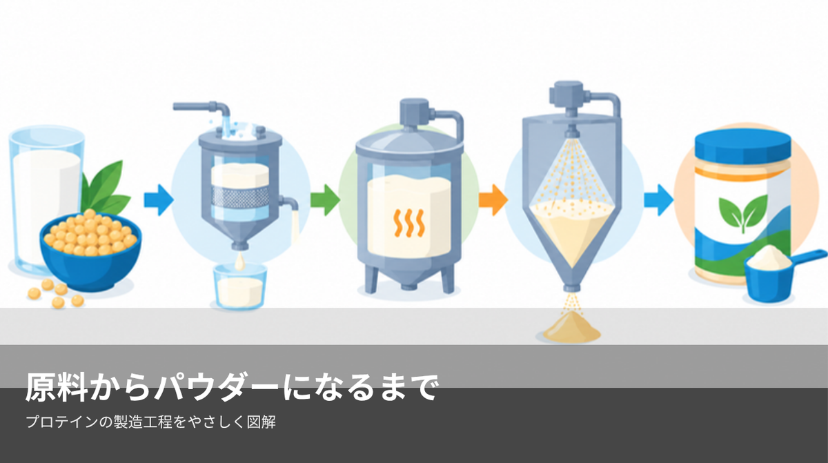 原料からパウダーになるまで プロテインの製造工程をやさしく図解