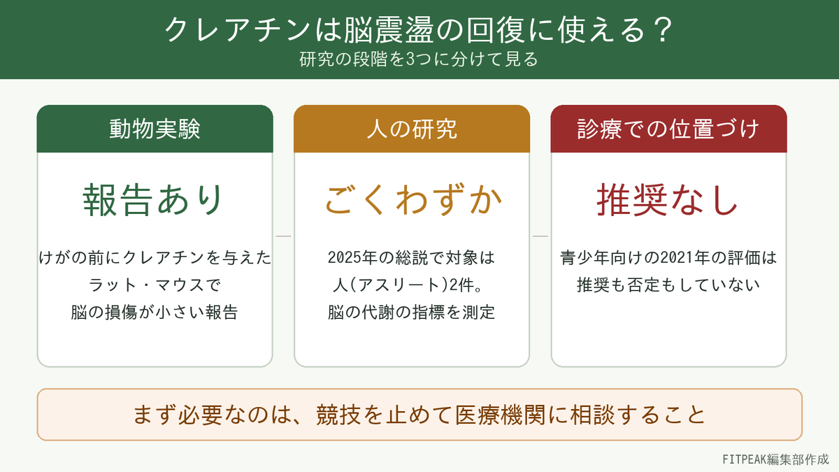 【研究は限定的】クレアチンは脳震盪の回復に使える？人の研究と競技復帰の手順