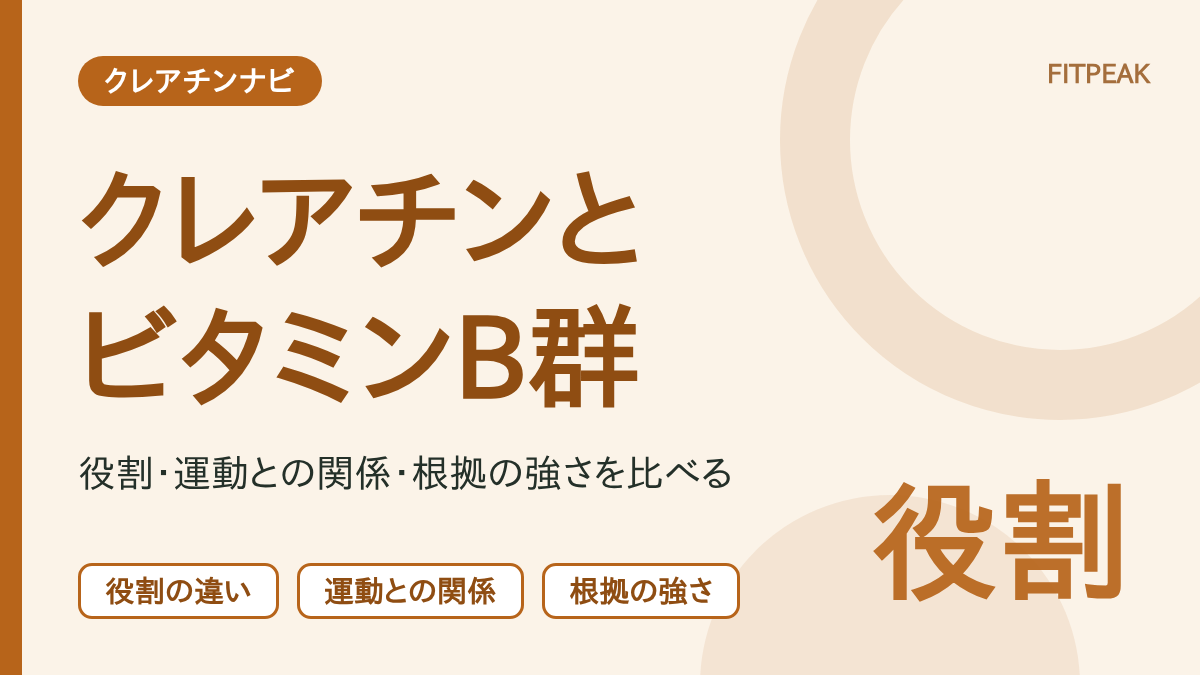 クレアチンとビタミンB群の違いを、役割・運動との関係・根拠の強さの3点で示した図解