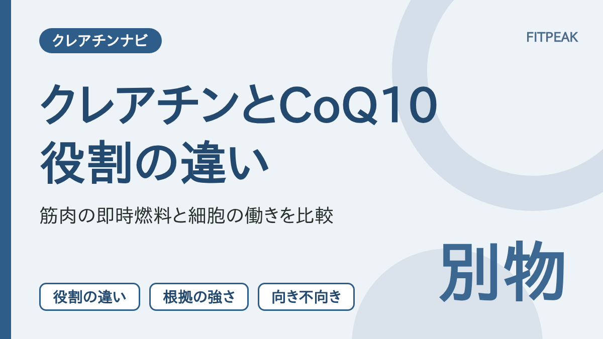 【役割は別物】クレアチンとコエンザイムQ10の違いは？根拠の強さと向き不向きを比較