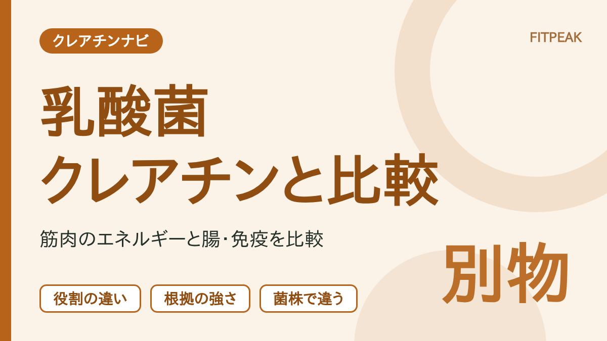 クレアチンと乳酸菌の役割・根拠の強さ・菌株による違いを示した図解