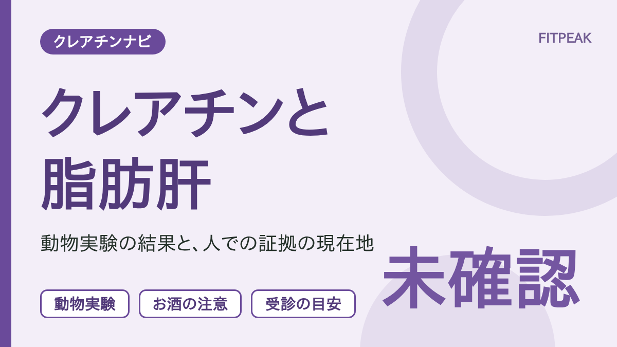 クレアチンと脂肪肝の関係を、動物実験の結果・お酒との組み合わせ・受診の目安で示した図解