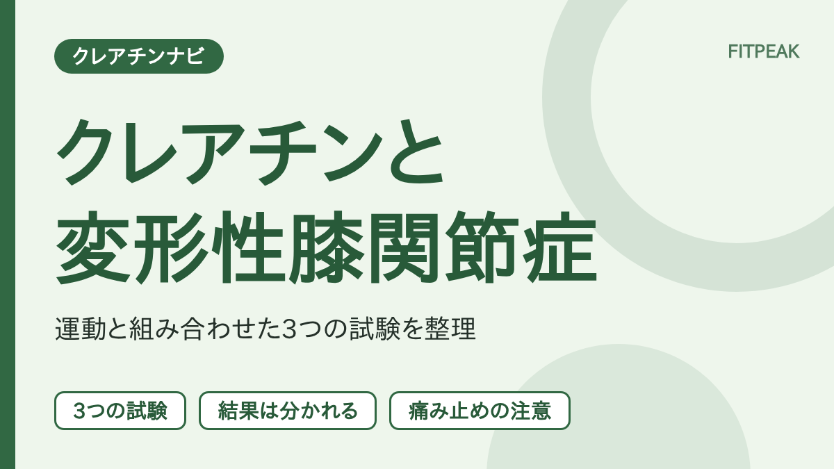 【研究は小規模】クレアチンは変形性膝関節症に役立つ？運動と組み合わせた3つの試験