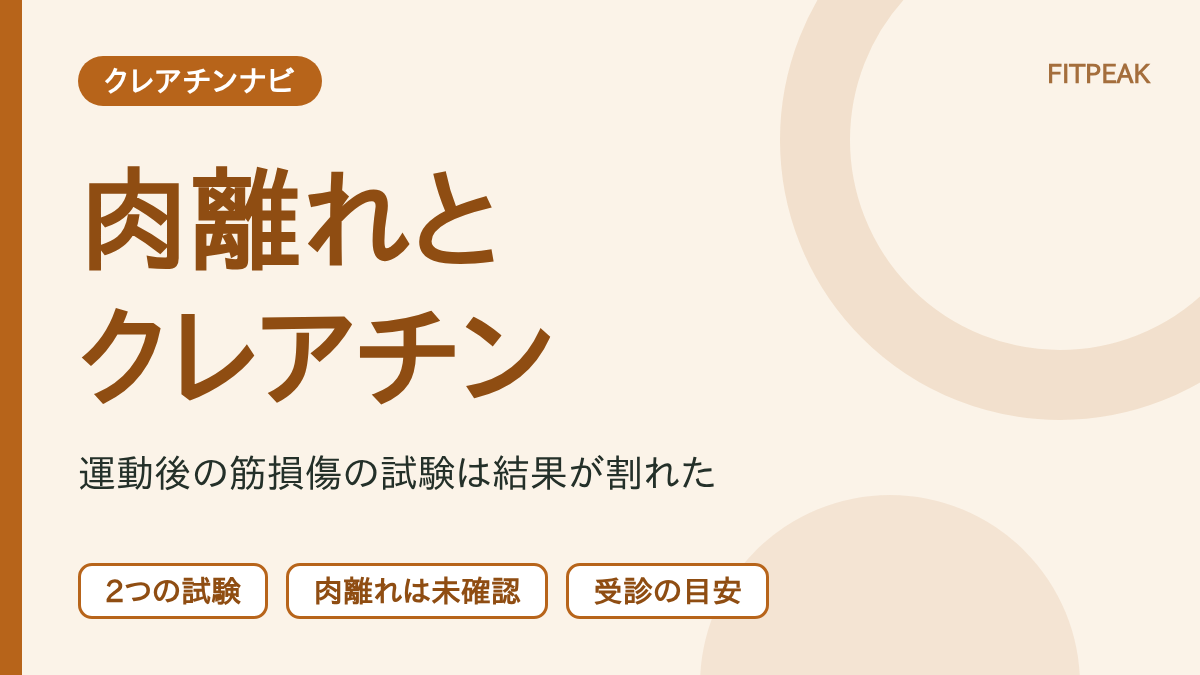 【試験は結果が割れた】クレアチンは肉離れ・筋損傷に使える？運動後の研究と受診の目安