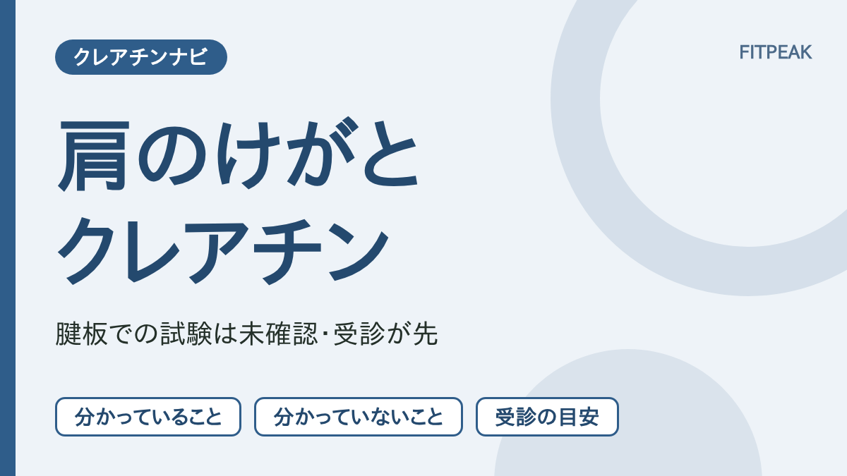 【腱板での試験は未確認】クレアチンは肩のけがに使える？分かっていることと受診の目安