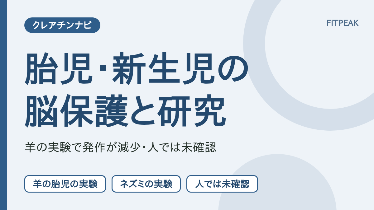 胎児の羊の実験でクレアチンにより発作が出た割合が86%から29%に減ったこと、人では未確認であることを示した図解