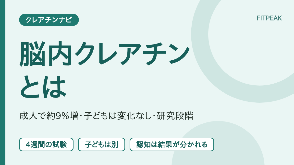 【4週で約9%増】脳内クレアチンとは？飲んで増える量と、研究で分かっていないこと
