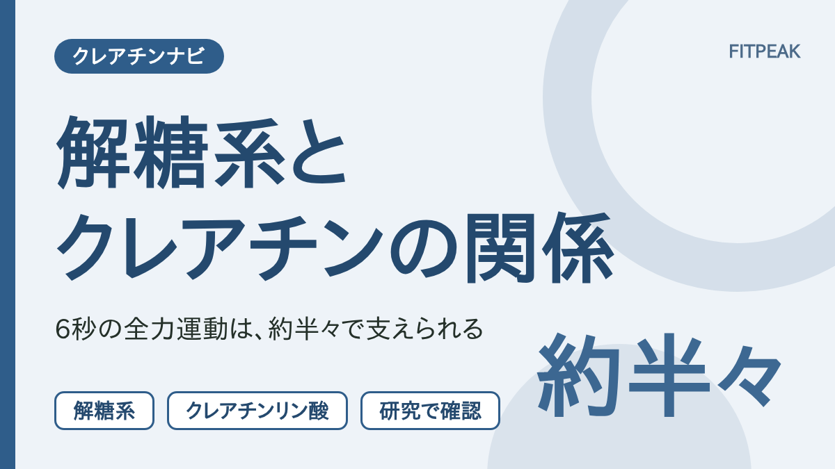 解糖系とクレアチンリン酸が、6秒の全力運動のエネルギーを約半々で分け合うことを示した図解