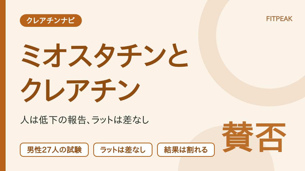 【人は低下の報告、ラットは差なし】クレアチンでミオスタチンは下がる？研究を整理