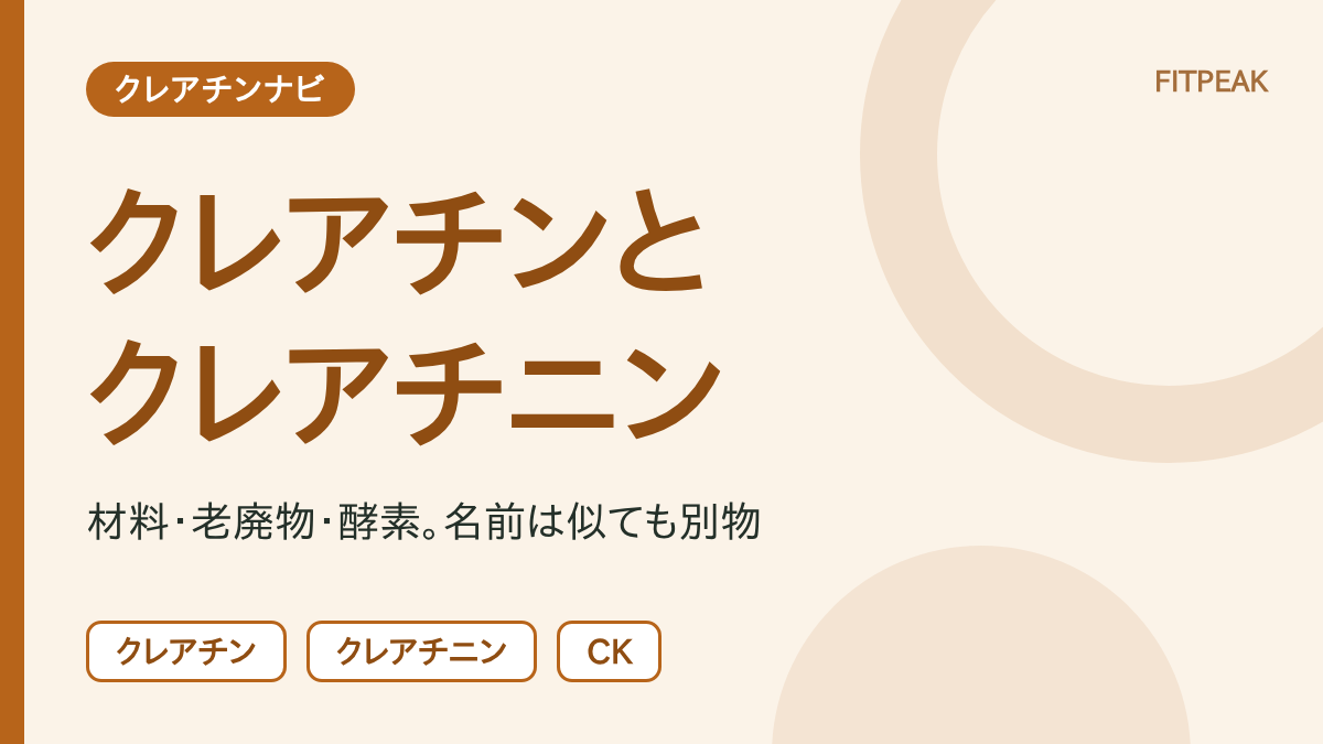 クレアチンはエネルギー源、クレアチニンは老廃物、クレアチンキナーゼは酵素という、名前が似た3つの違いを示した図解