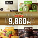 REYS WPI 製品画像