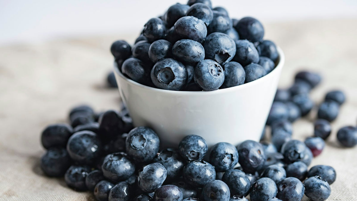 プテロスチルベンの効果は？ブルーベリー成分が筋細胞の脂肪蓄積を抑制、信州大が解明