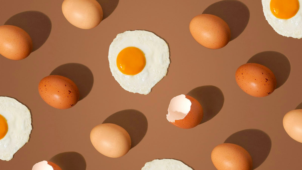 たんぱく質の摂りすぎは老化を早める？350本超の論文レビュー、運動する人は別